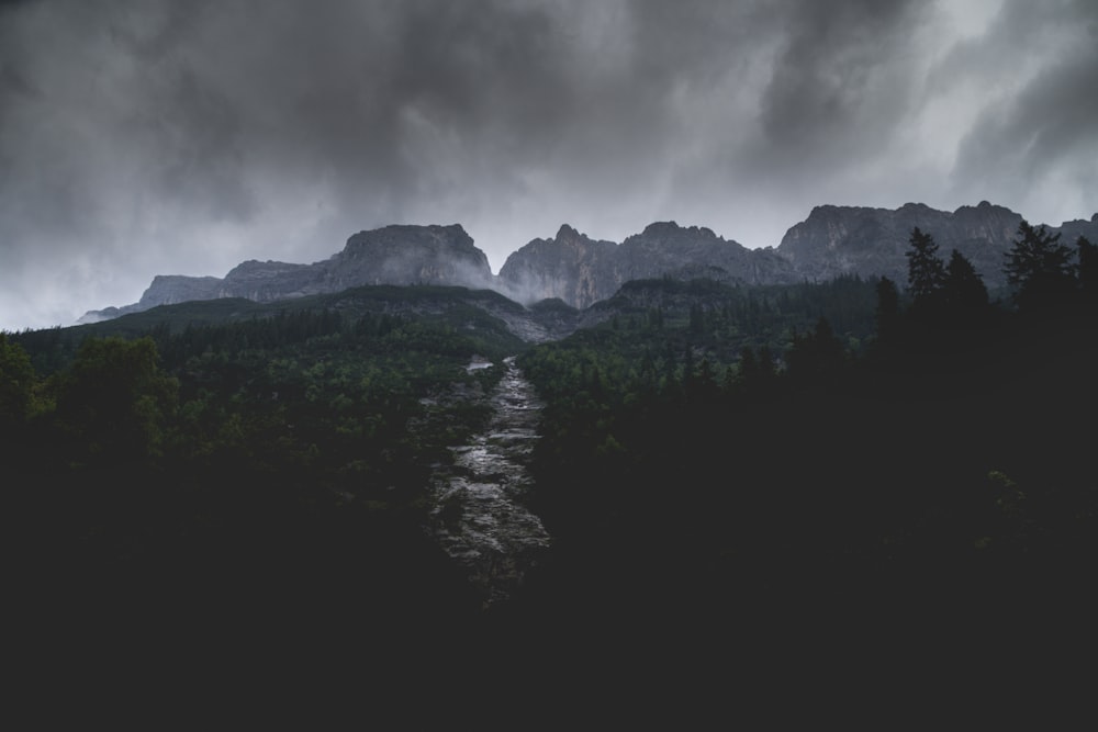 river between trees near mountain under gray clouds