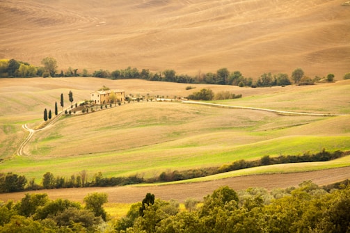 The historic Hawkins Ranch landscape.