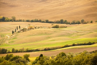 A picturesque landscape featuring rolling hills with a rustic farmhouse surrounded by tall cypress trees. The hills are covered in soft, golden-brown grass with patches of green. A winding dirt path leads to the farmhouse, which is situated in the middle of the undulating terrain. In the background, dense clusters of trees line the horizon, adding depth to the scene.