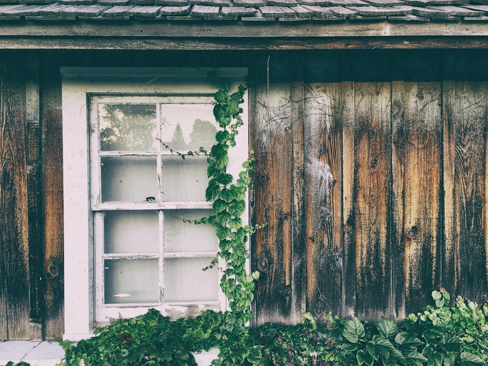 white wooden framed glass panel window