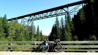 A bicycle with packs attached is parked on a wooden bridge surrounded by dense, tall evergreen trees. Above the bridge, a large metal railway trestle spans across the valley, contrasting with the forest setting. The scene is well-lit with clear blue skies in the background, suggesting a calm and peaceful outdoor environment.