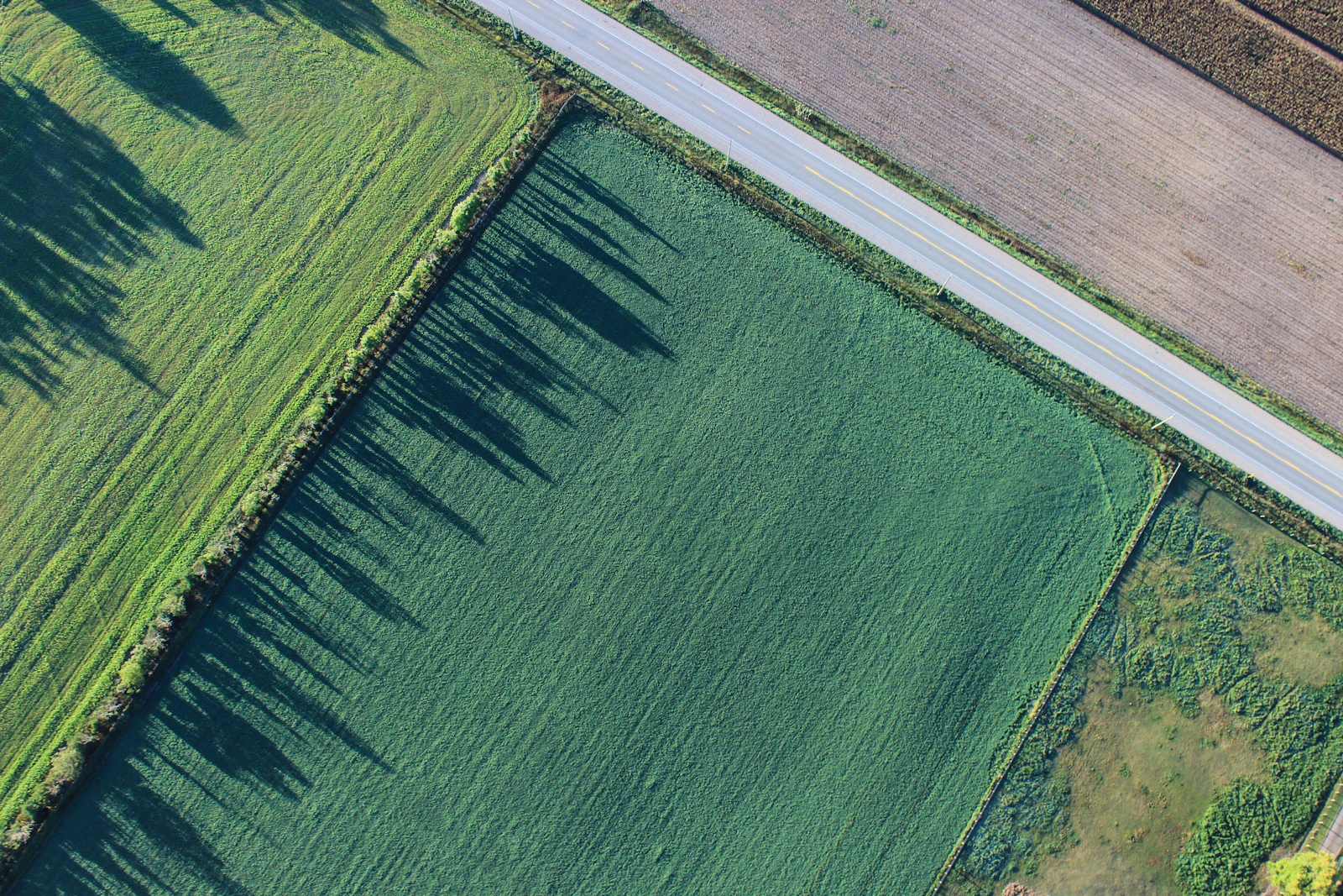 Fields under a wide sky