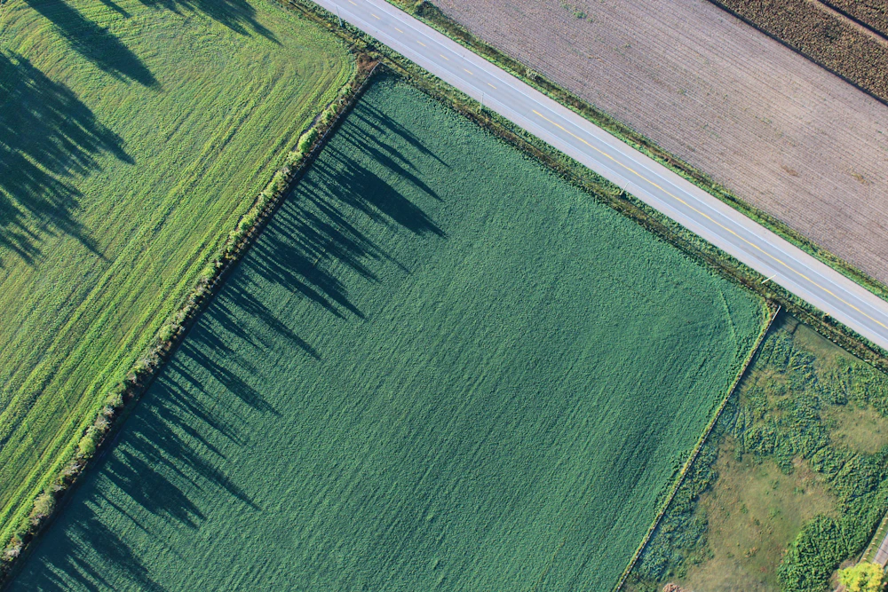Aerial view of a single rectangular parcel bounded by a road and treeline