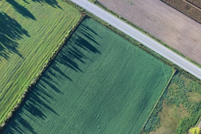 bird's eye view photography of green field above google meet background