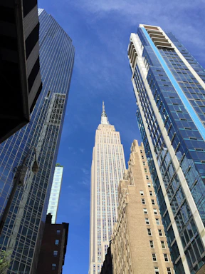 A clear view of Chicago's skyline with iconic buildings under a bright sky, no people visible.