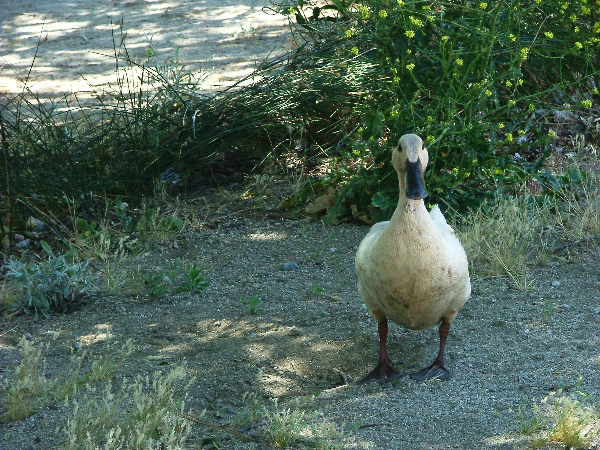 Free Unsplash photo from Jerry Bernard