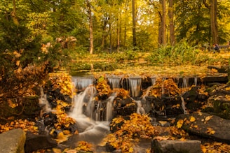 waterfalls in forest