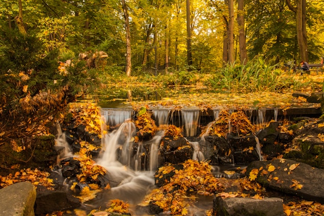 waterfalls in forest