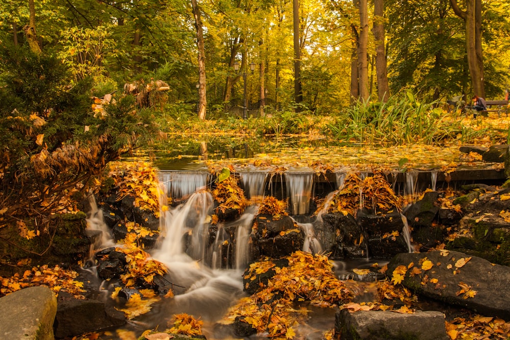 Cascadas en el bosque