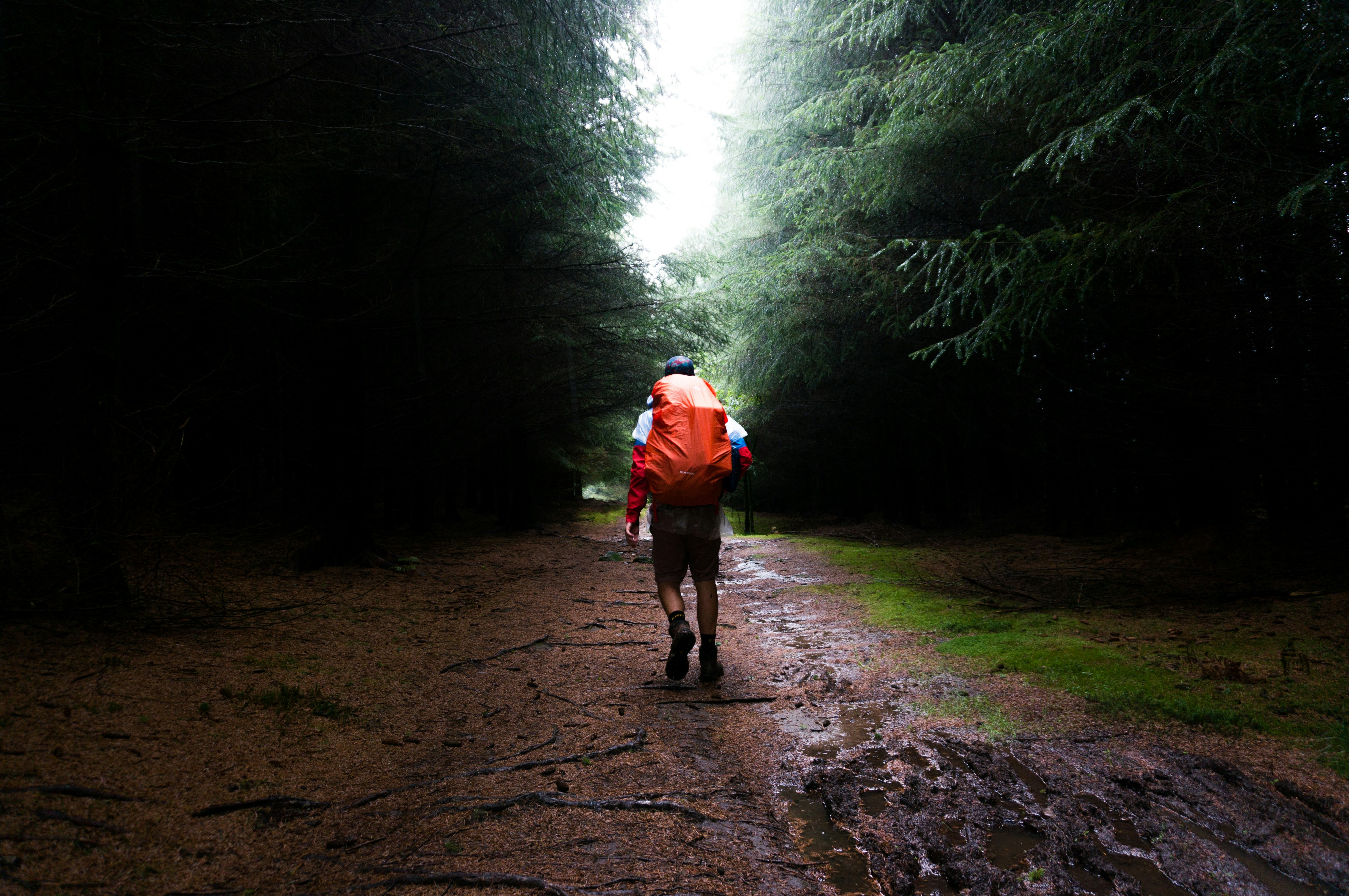 Hiker on a wet path