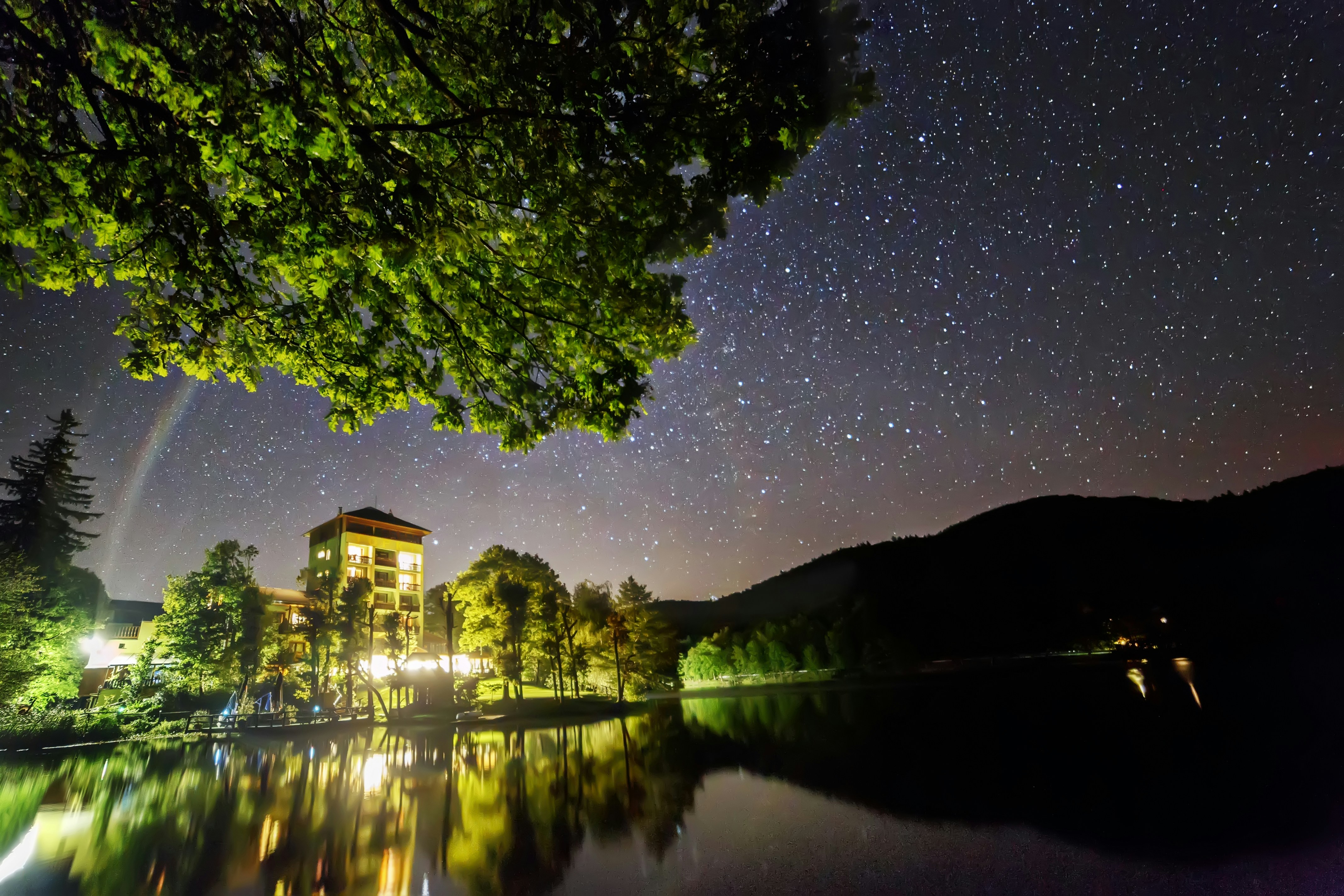 Free Unsplash photo from Maria Svecova