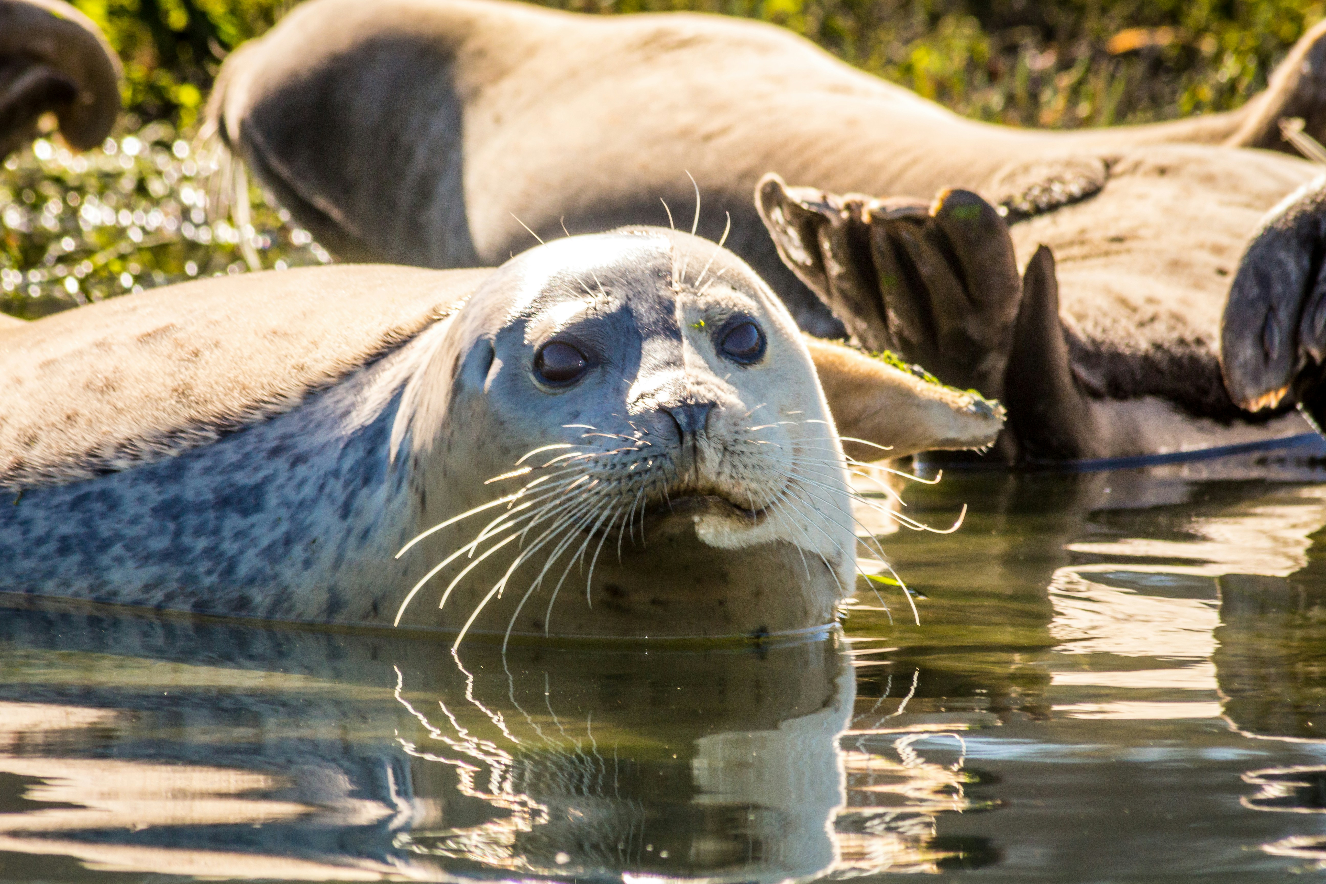 Free Unsplash photo from Patty Tulloch