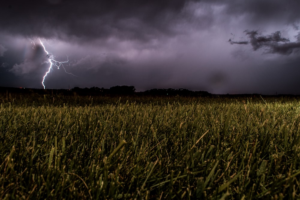 grass field under cloudy sky