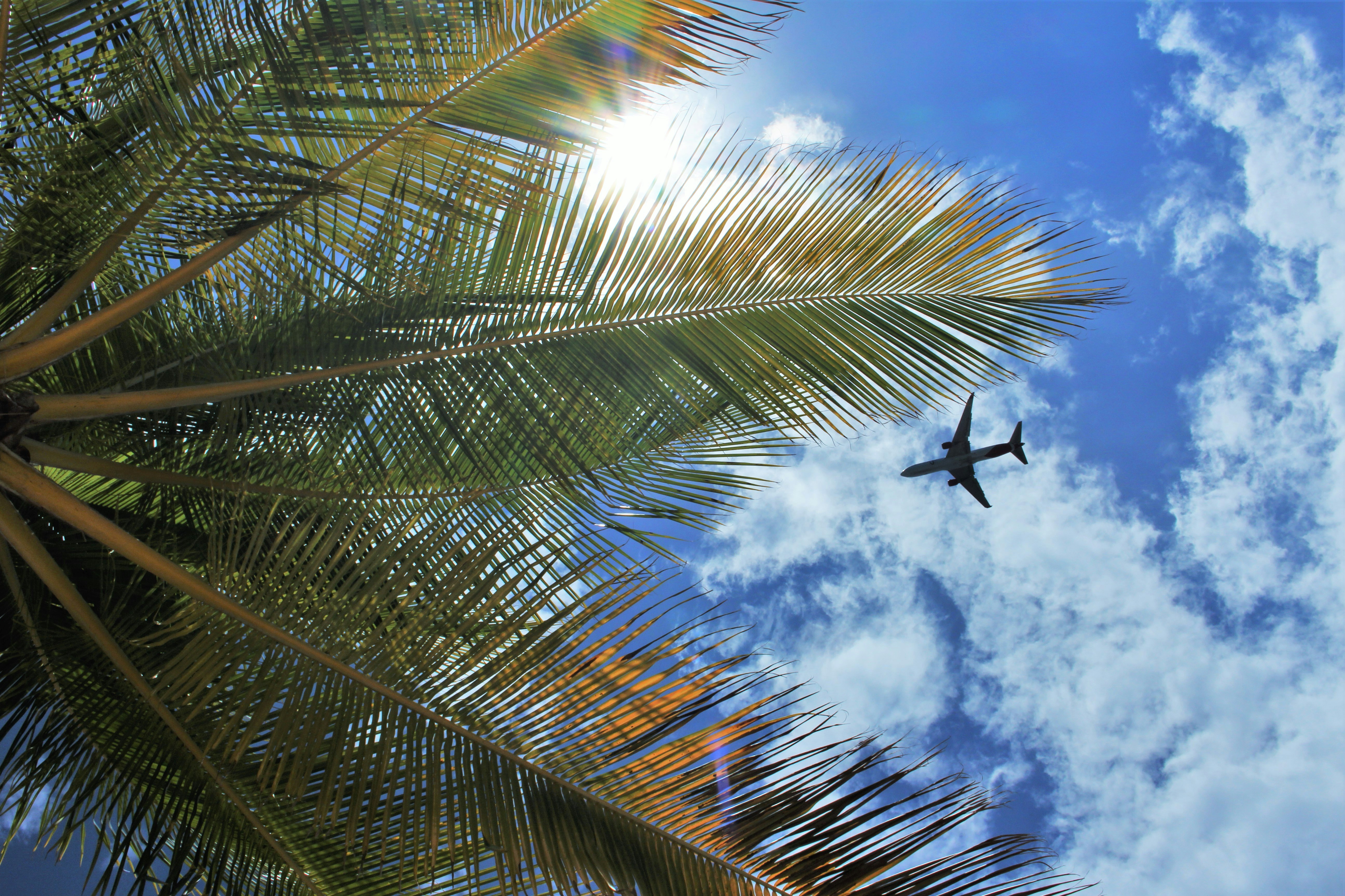 Free Unsplash photo from Michael Liszkiewicz