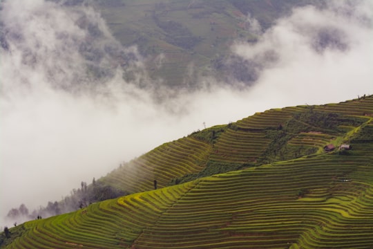 landscape of photography rice field in La Pán Tẩn Vietnam