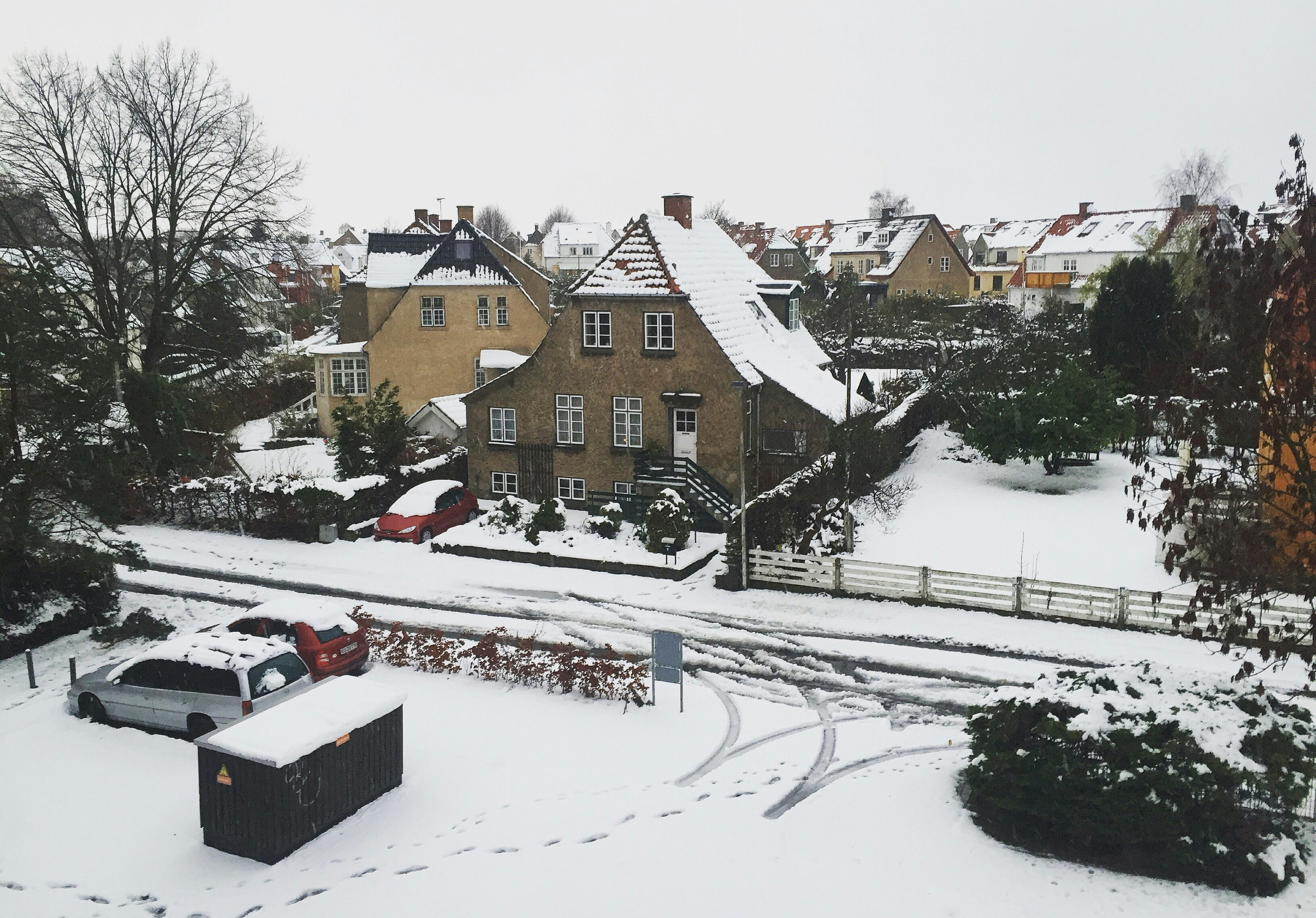 Free Unsplash photo from Zea Meng