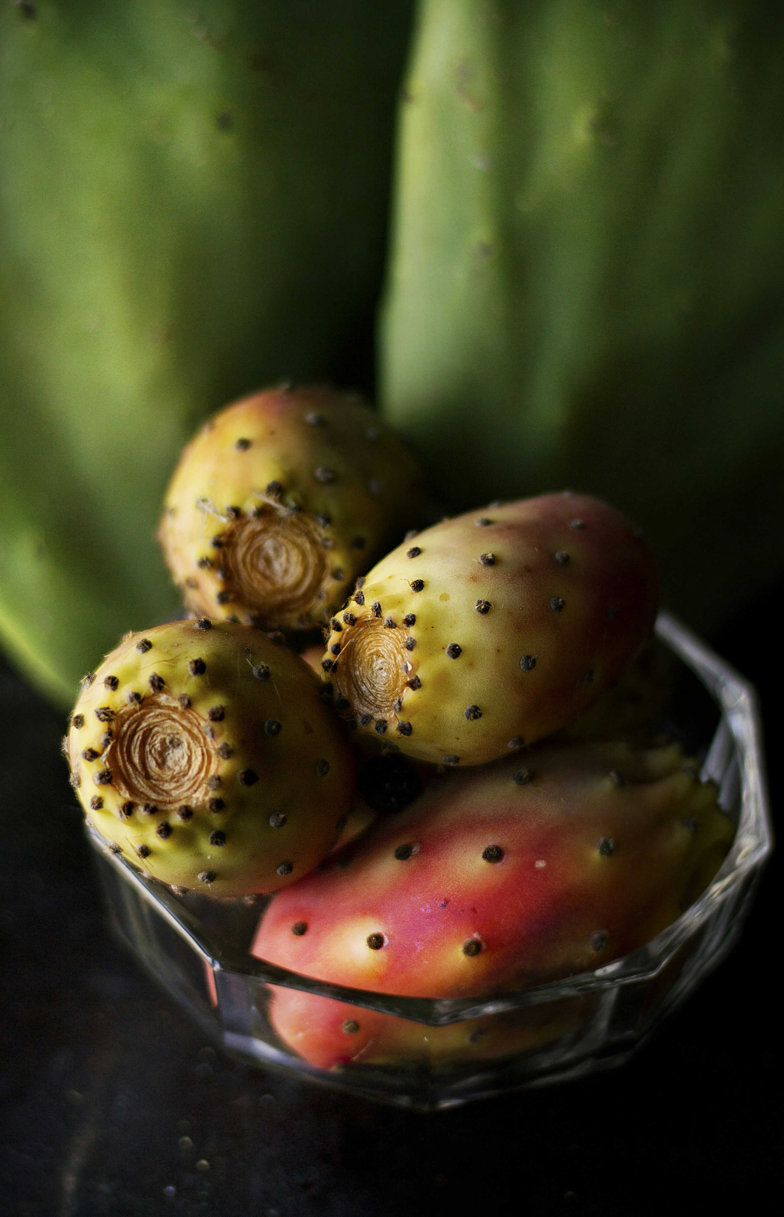 Free Unsplash photo from Roberta Sorge