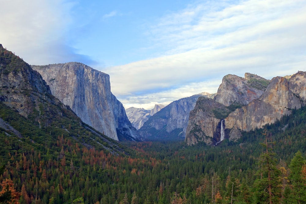 Parco nazionale di Yosemite