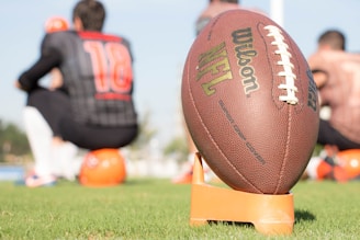 life coach for pro athletes