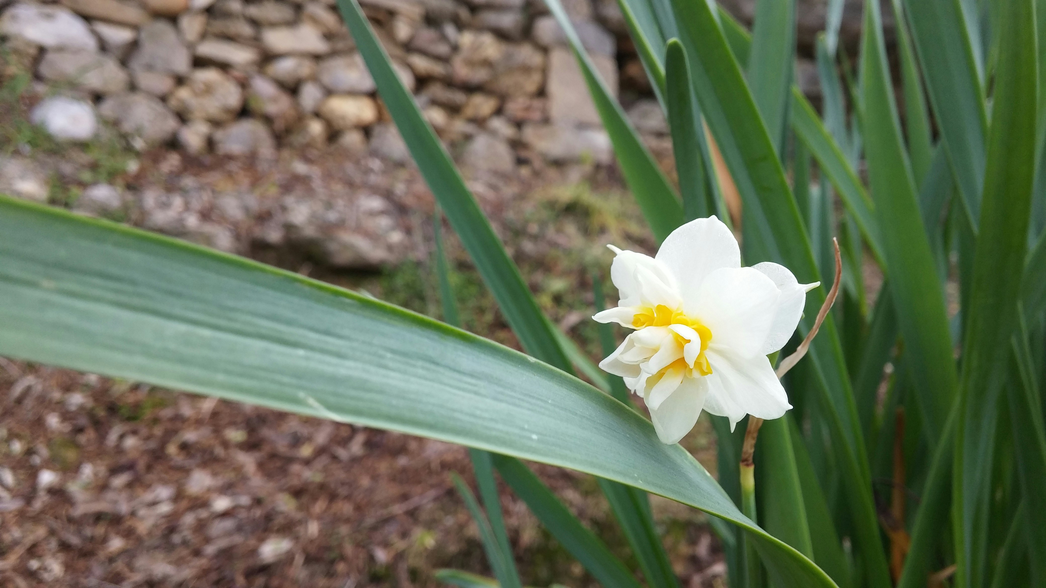 Free Unsplash photo from Abdullah Celik