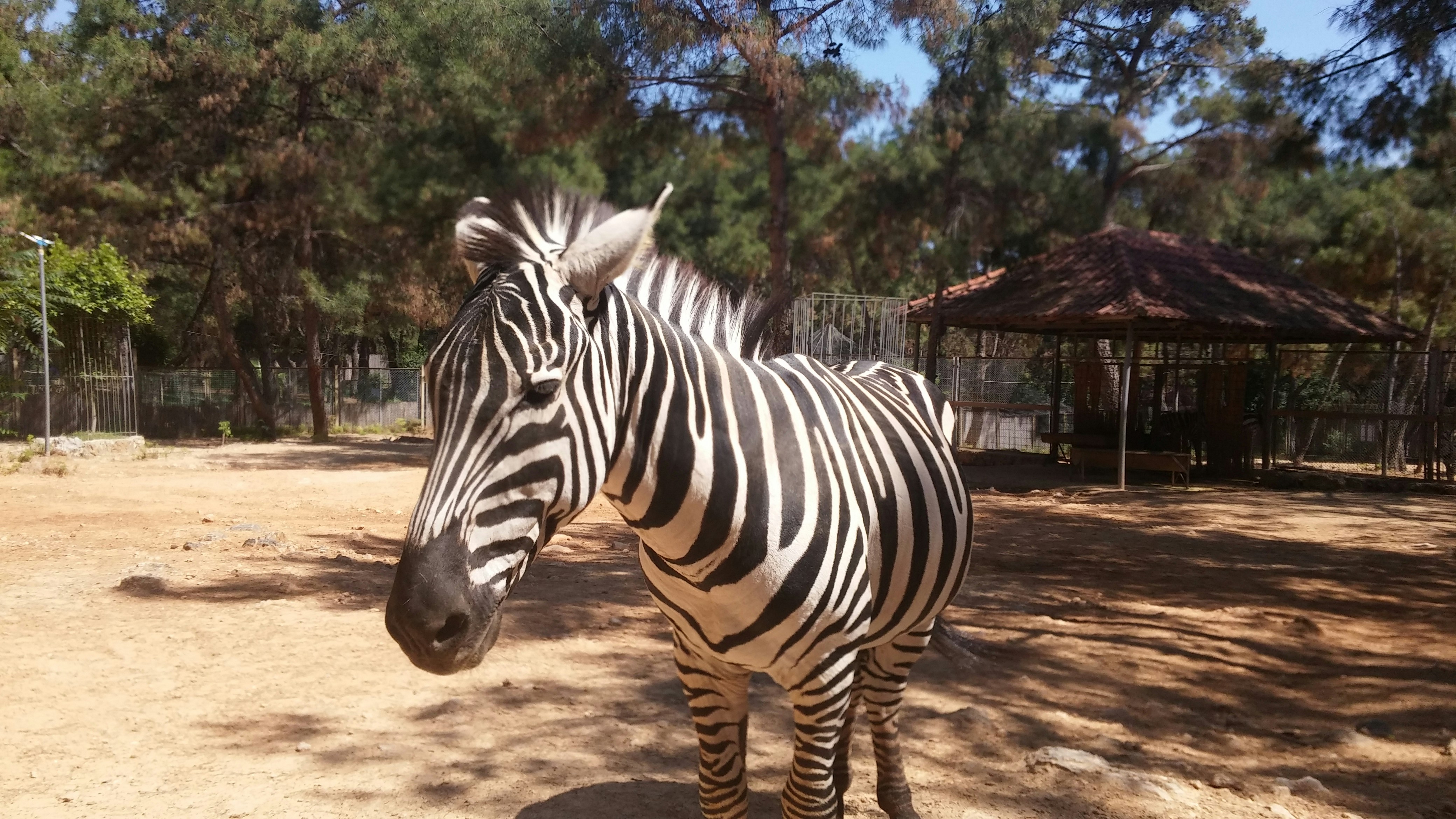 Free Unsplash photo from Abdullah Celik