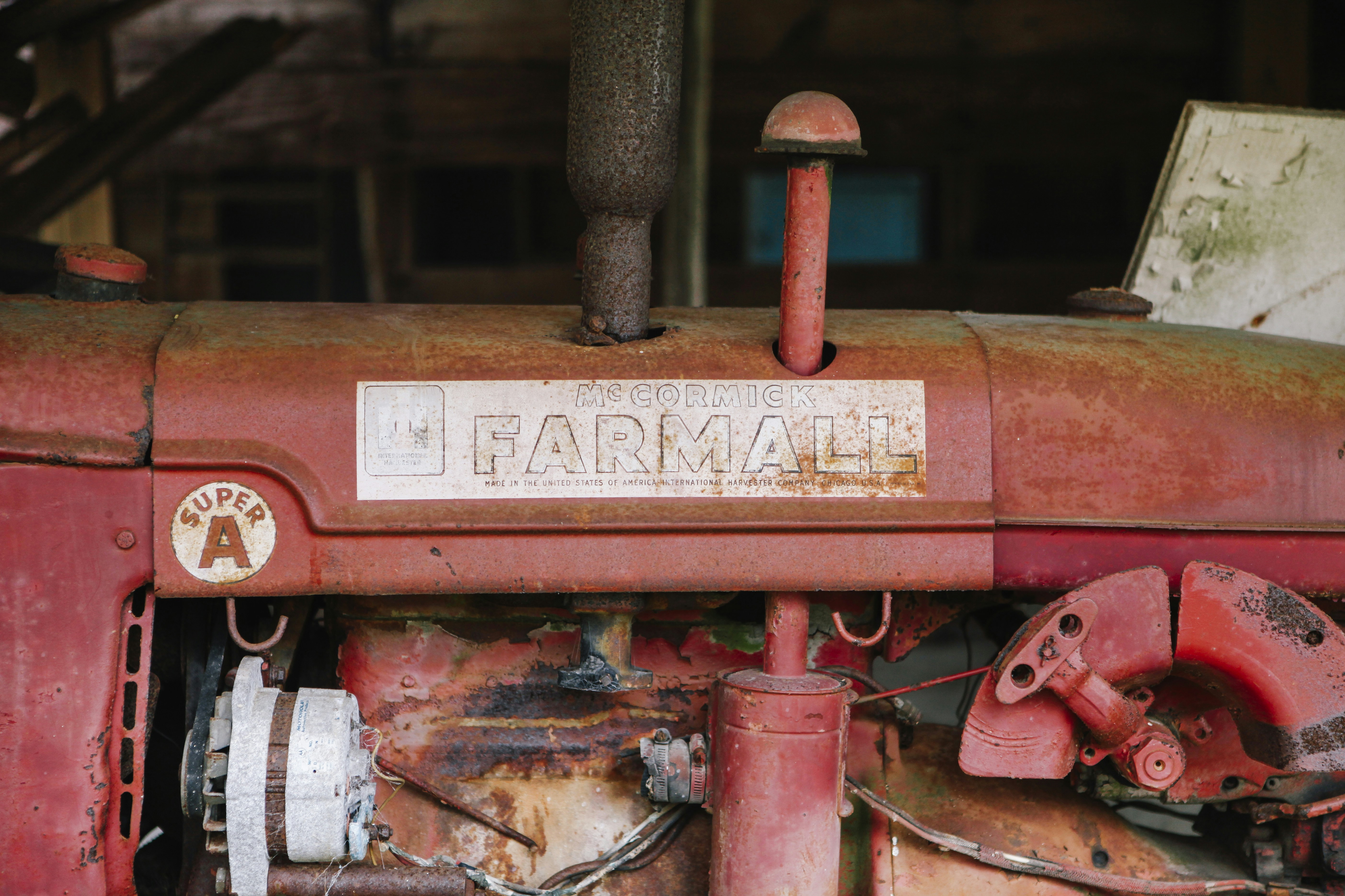 Free Unsplash photo from Rachael Dowdy