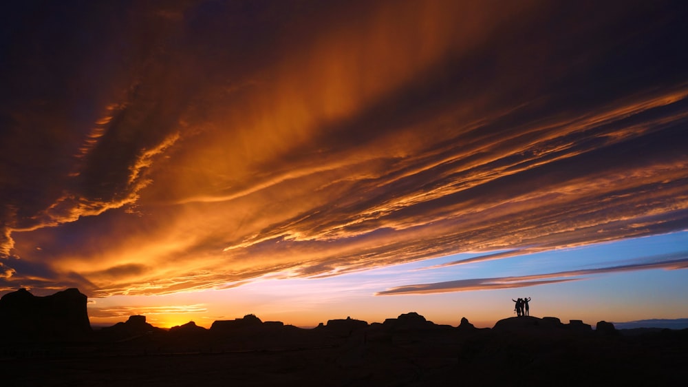 silhouette of trees during orange sunset