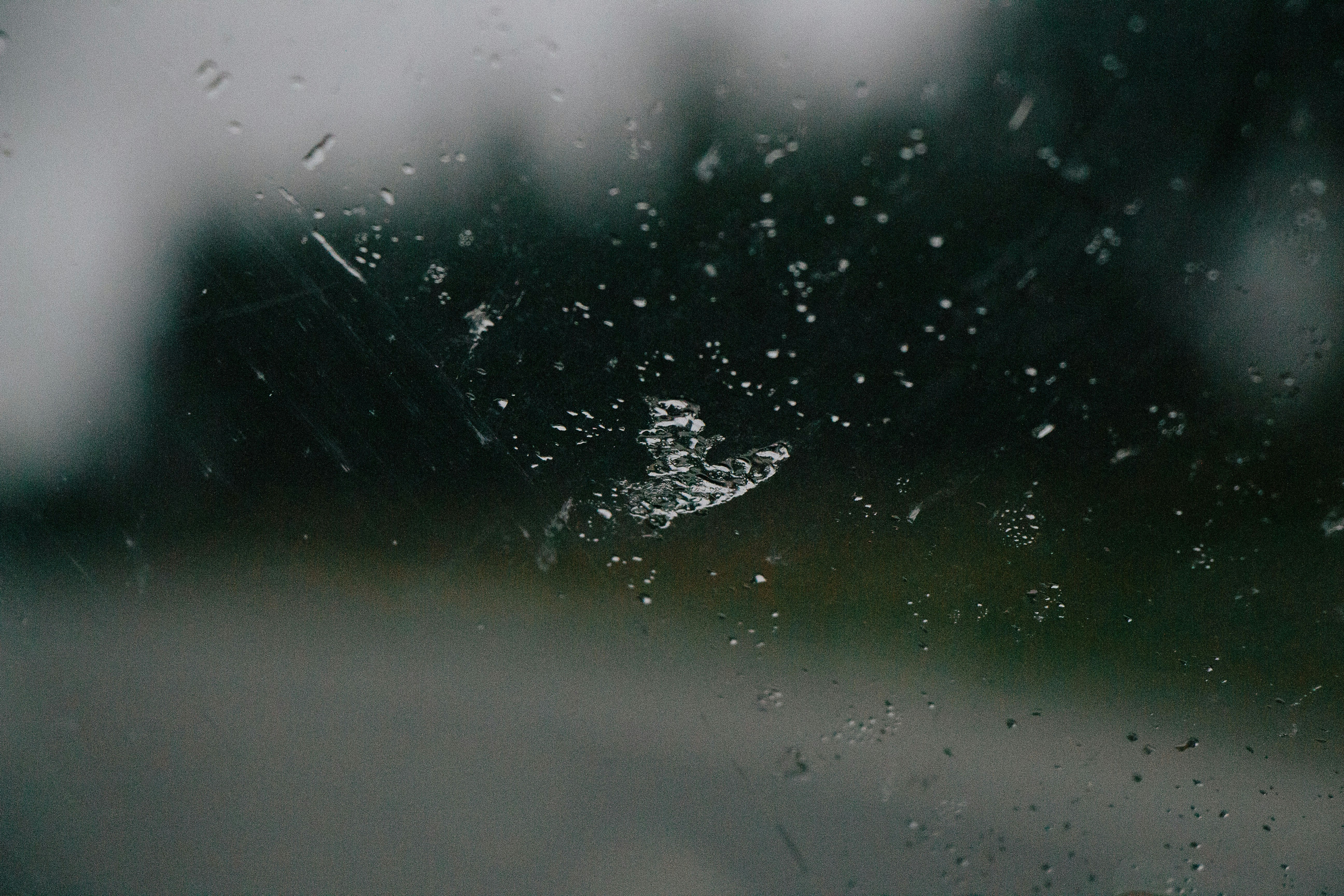 Free Unsplash photo from Marcos Paixão