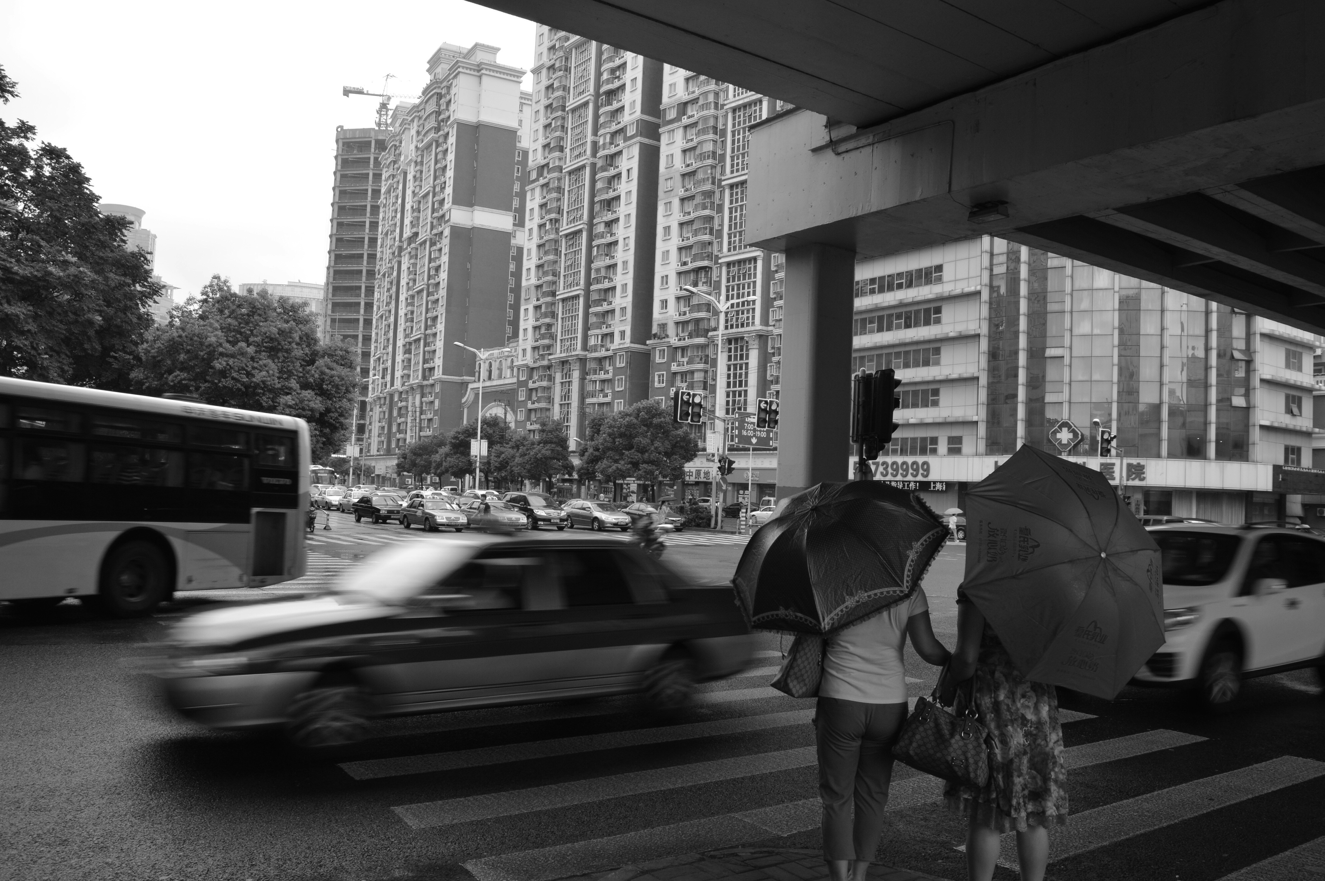 Free Unsplash photo from Giacomo Lozito