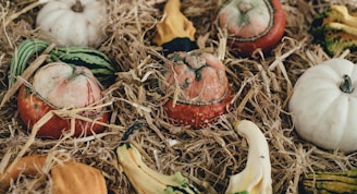 tilt shift lens of vegetables