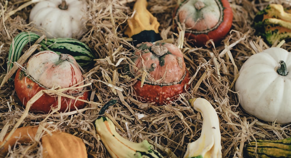 tilt shift lens of vegetables