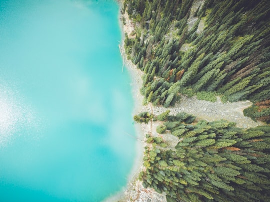 aerial photo of tall trees and ocean in Joffre Lakes Provincial Park Canada