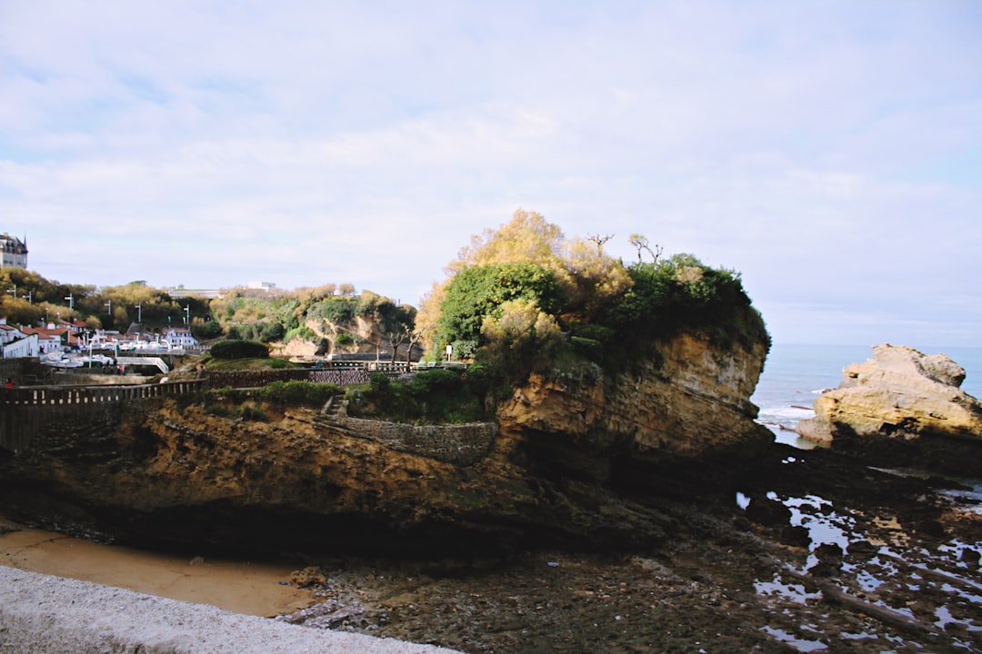 rock formation near sea