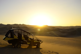 Close-up of a rugged buggy parked among palm trees with the sun setting in the background.