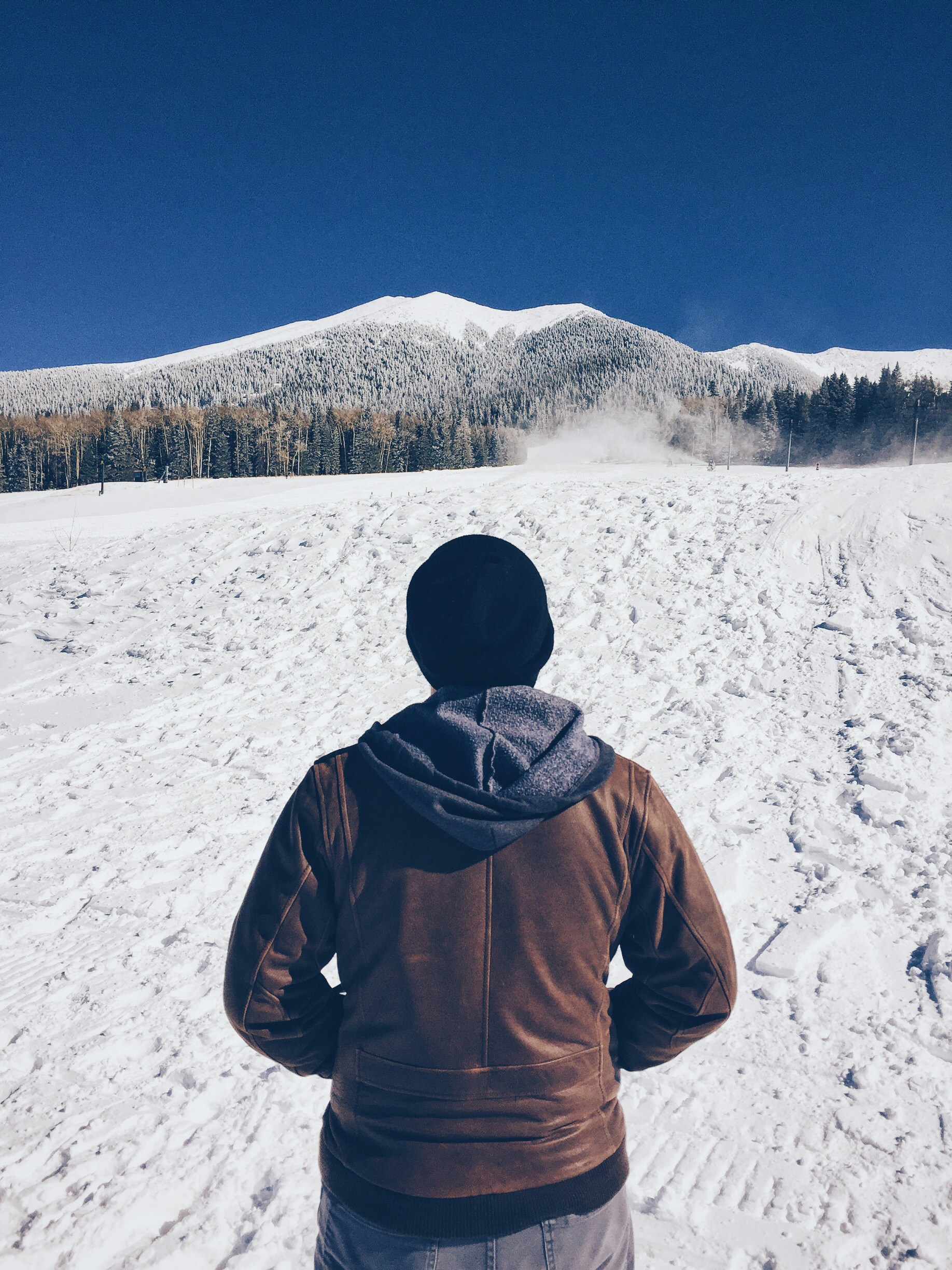 Free Unsplash photo from Christian Van Bebber