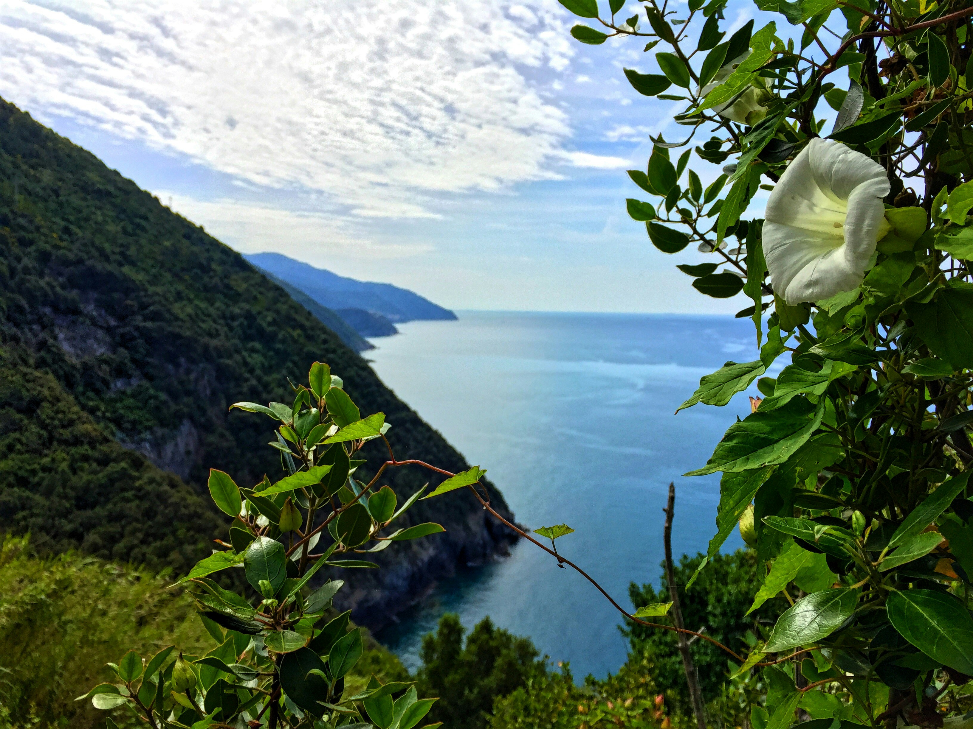 Free Unsplash photo from Jeremy Streich