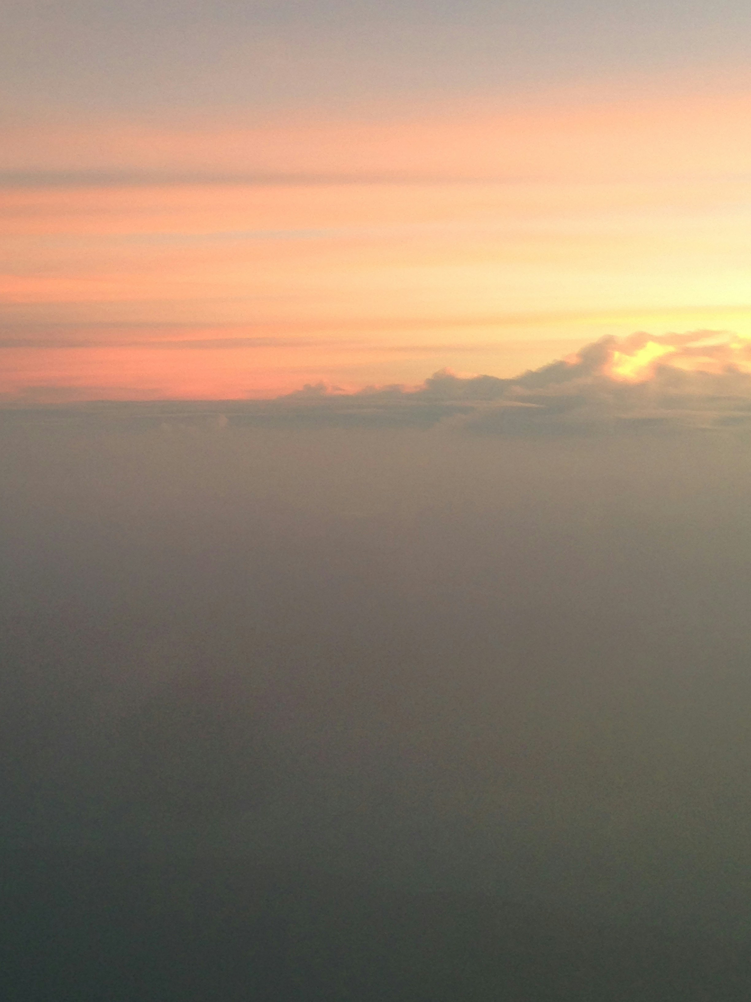 Free Unsplash photo from Catherine Wang