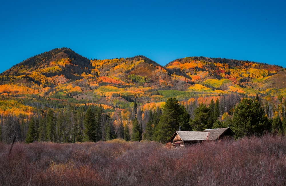 photo of brown wooden house beside mountain