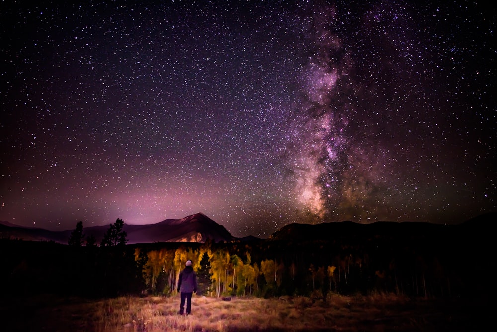 person standing near trees under starry sky