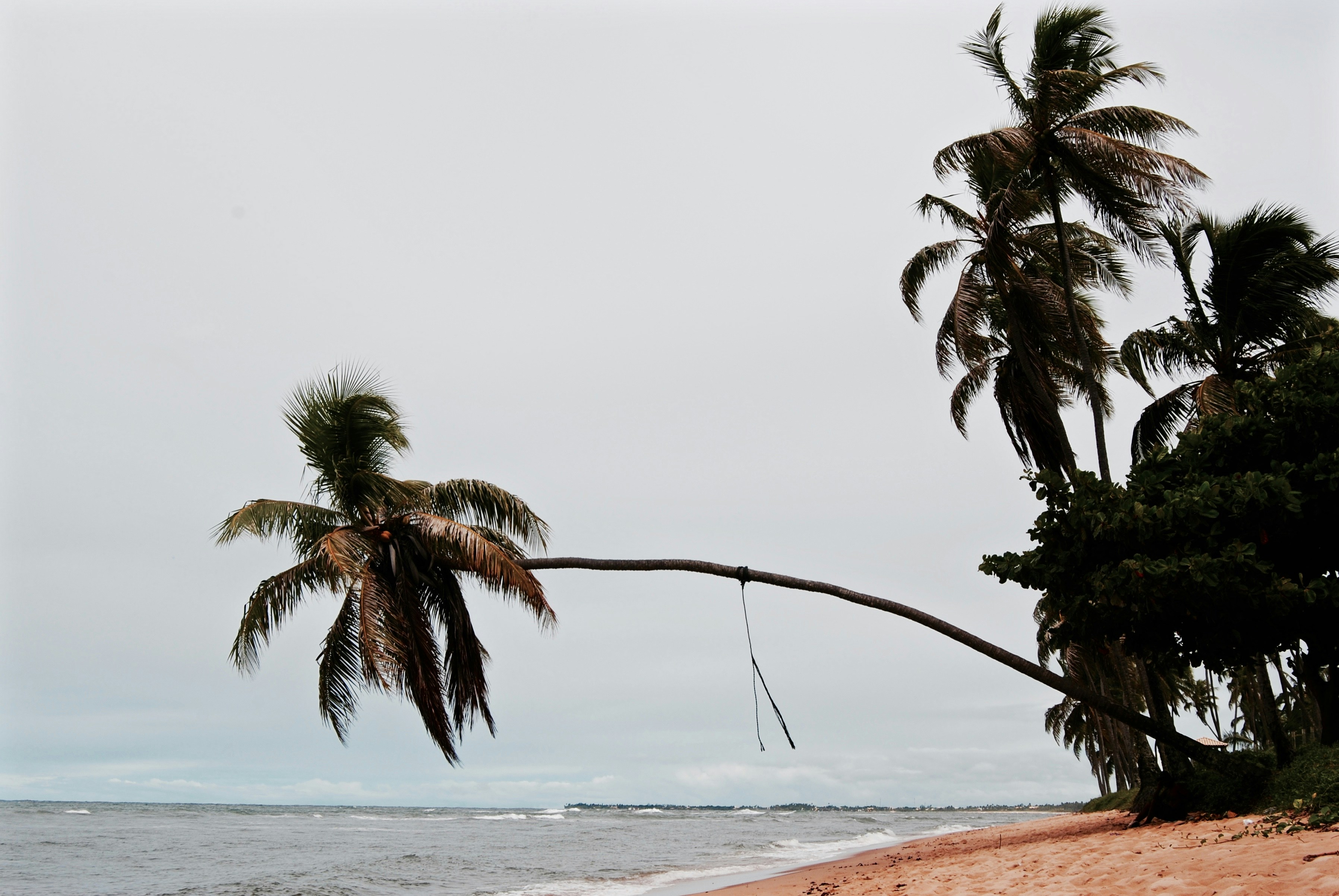 Free Unsplash photo from Alice Giuliano