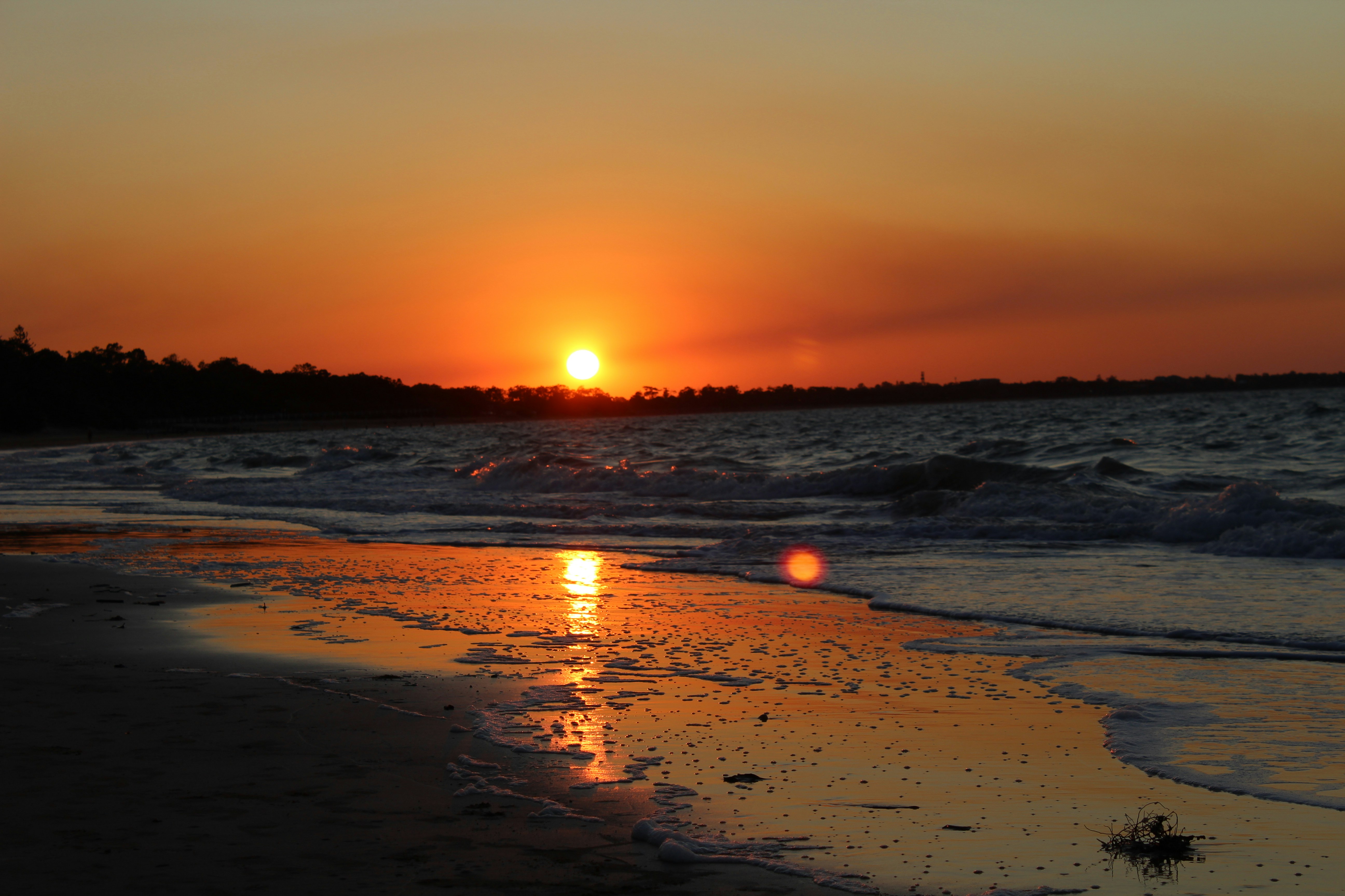 Free Unsplash photo from Queen Jess