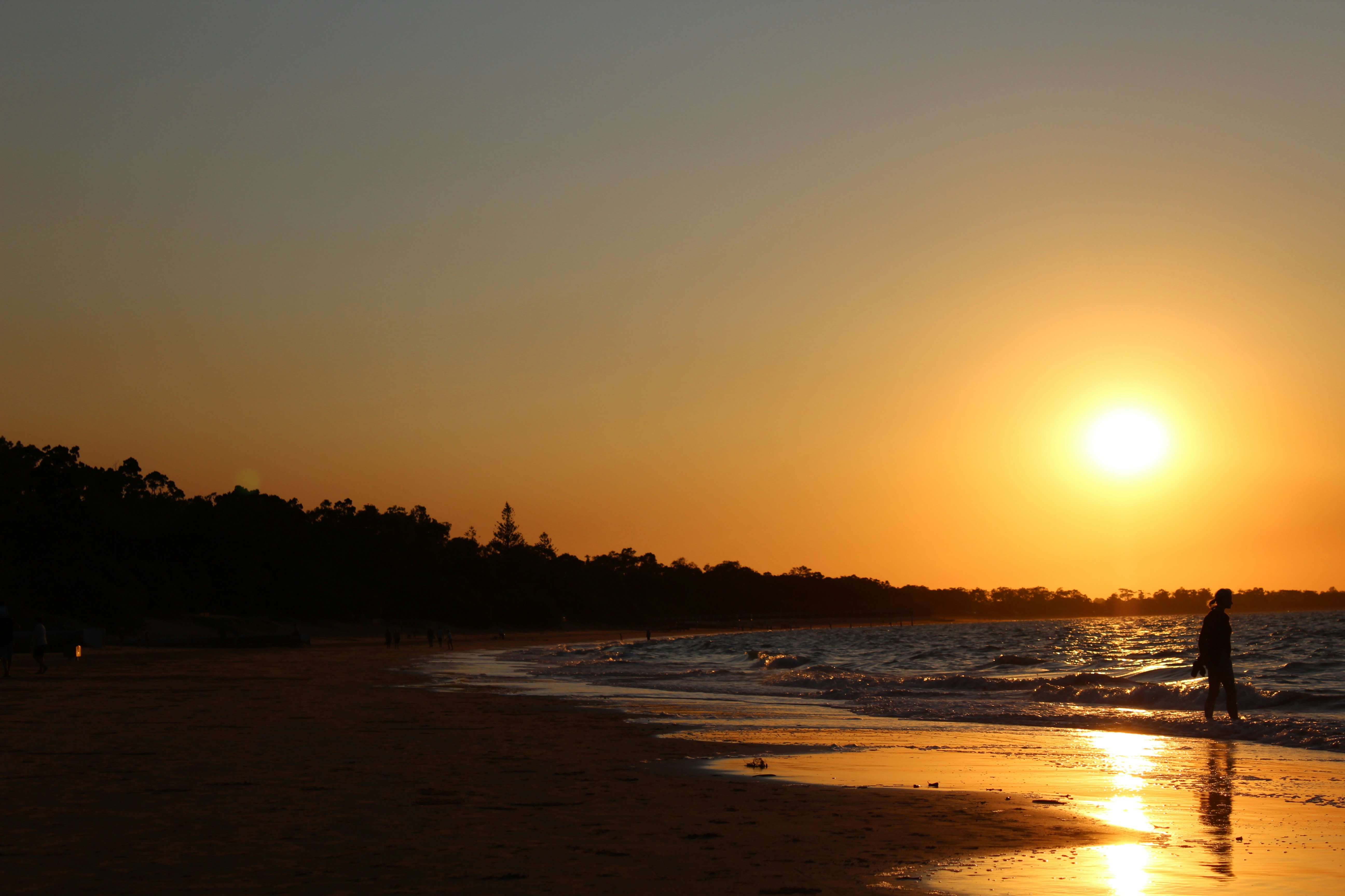 Free Unsplash photo from Queen Jess