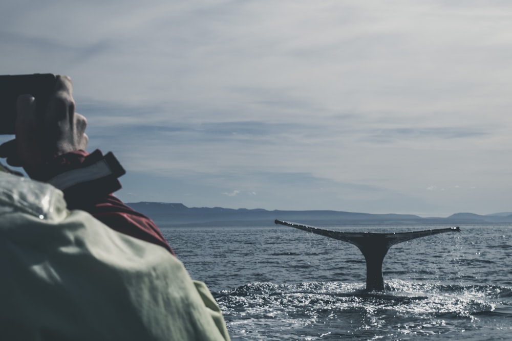 Foto di balena nera nell'oceano durante il giorno