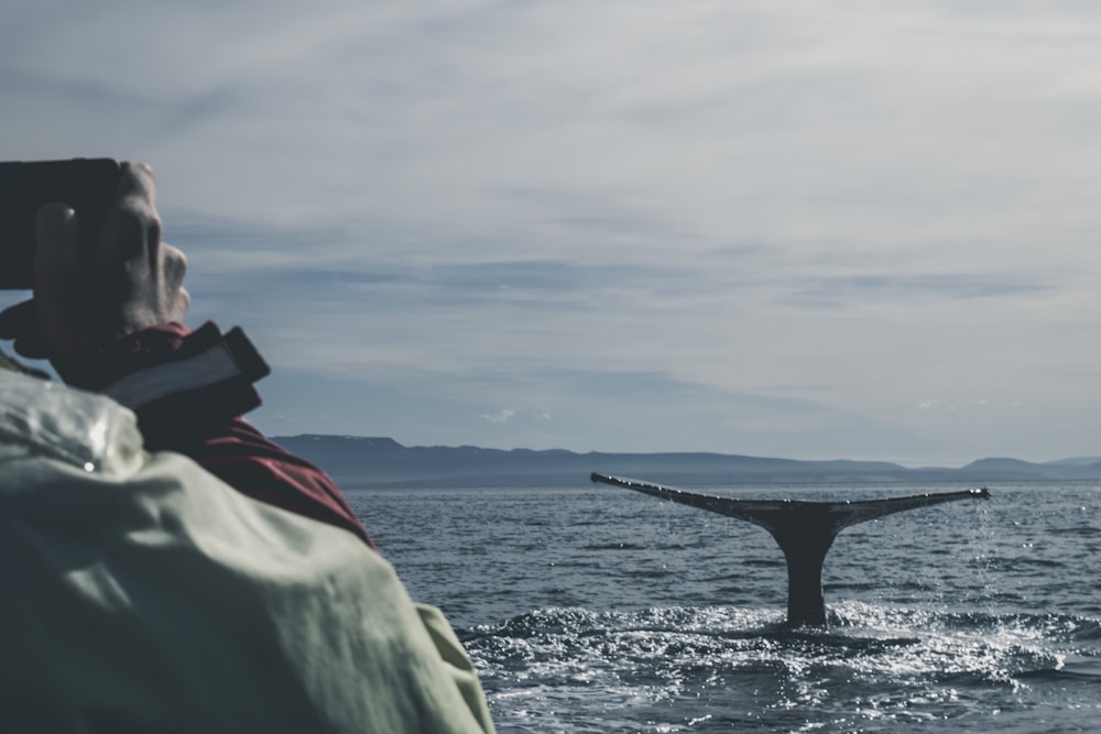 photo of black whale in ocean during daytime