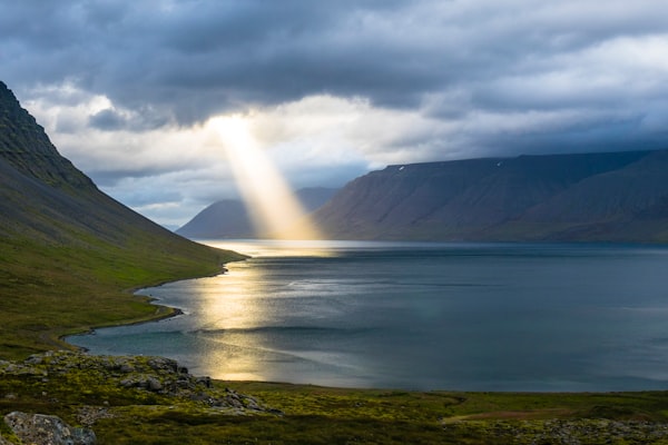 Heaven and Earth - Ian Plimer