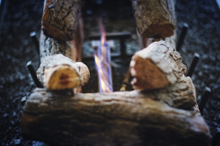 Several logs arranged in a metal firewood holder with a small flame burning in the center. The background appears blurred, emphasizing the focus on the burning logs.