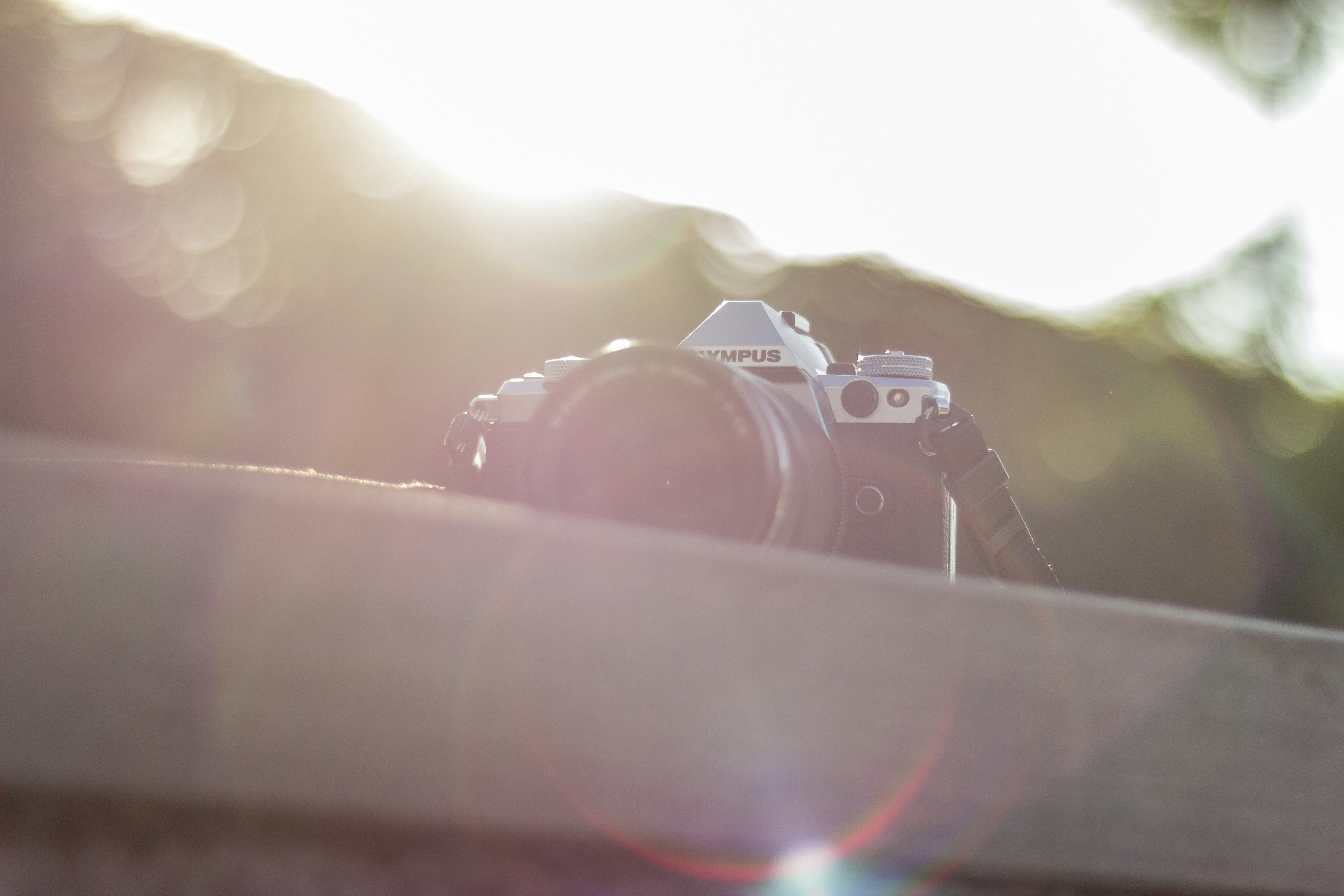 Free Unsplash photo from Mario Klassen