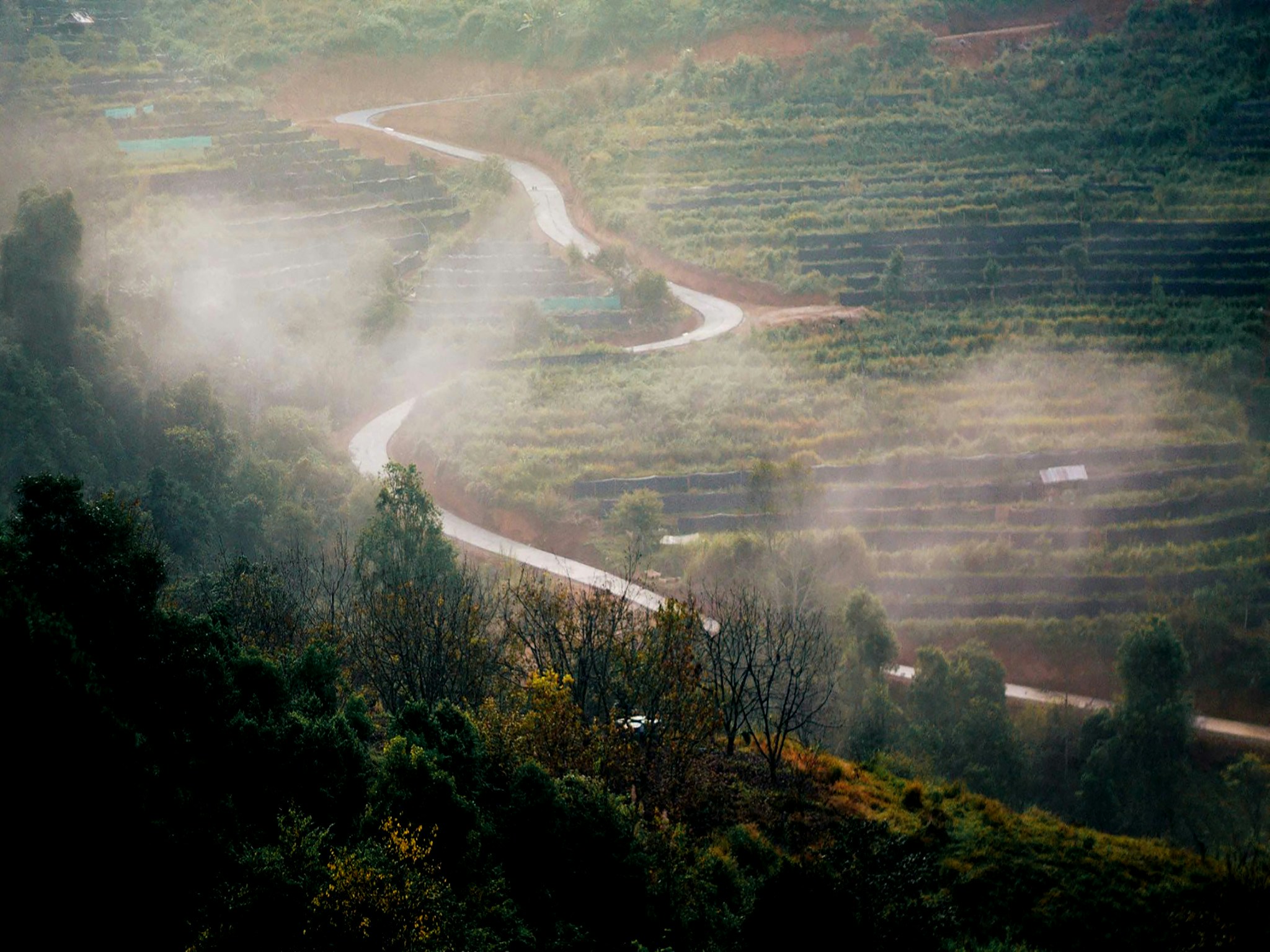 Free Unsplash photo from Thanhathai .S