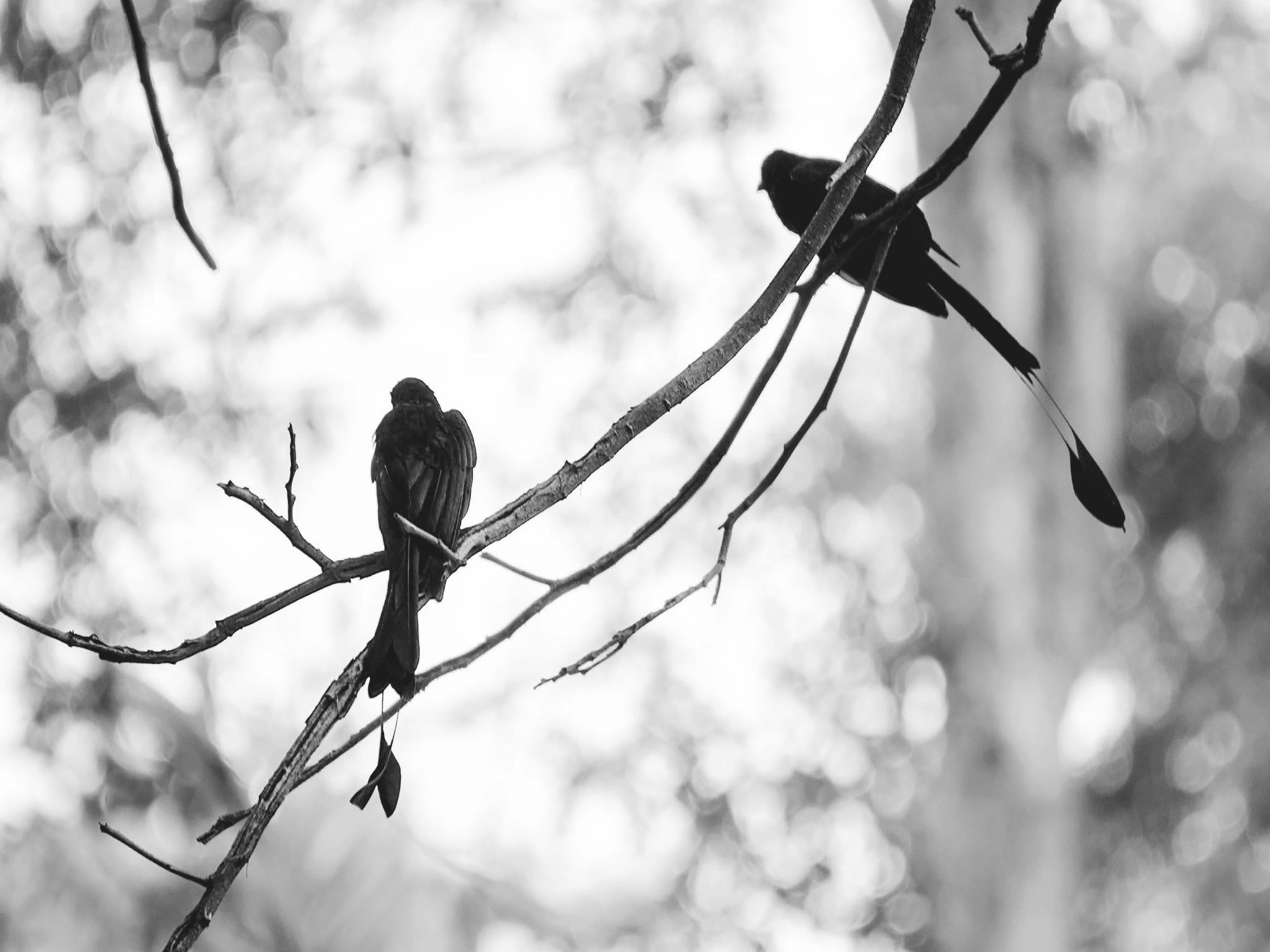 Free Unsplash photo from Thanhathai .S