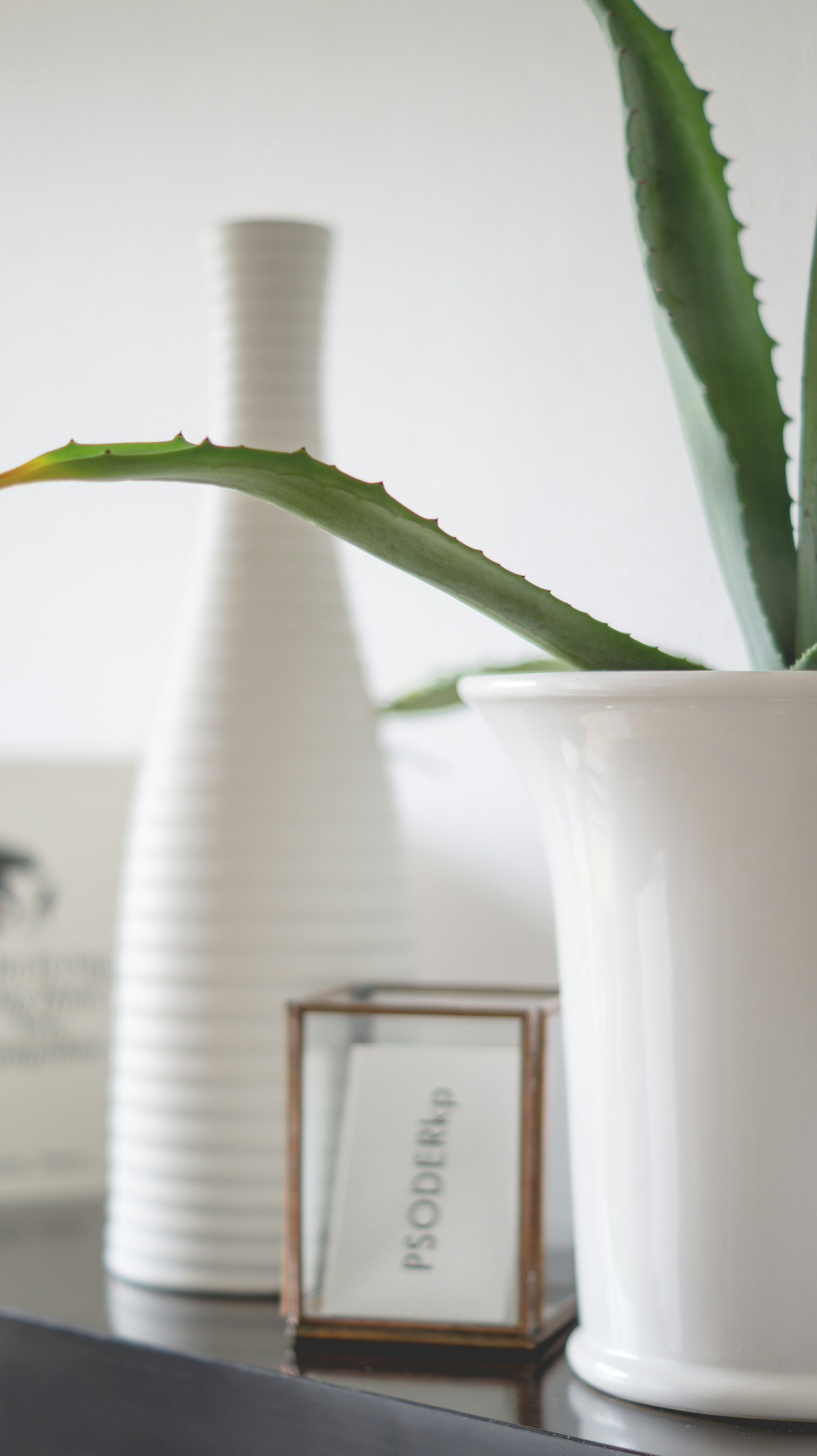 Free Unsplash photo from Ive Erhard